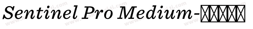Sentinel Pro Medium字体转换